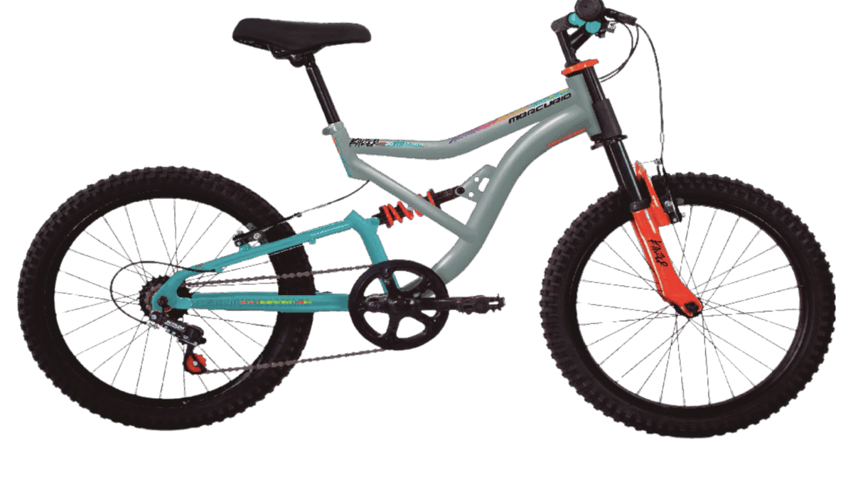 Bicicleta de Montaña